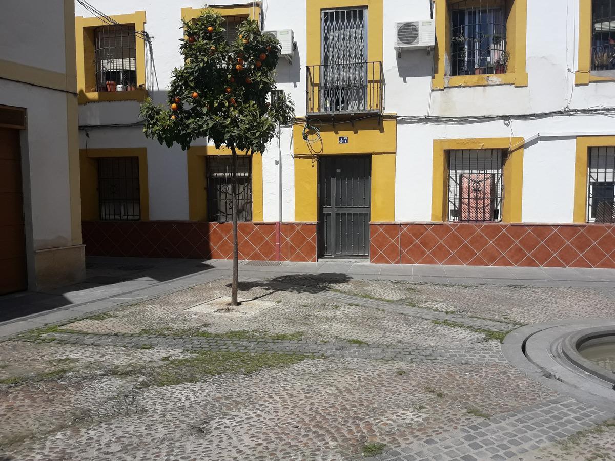 Sleep & Shower In A Typical District Cordoba Exterior photo